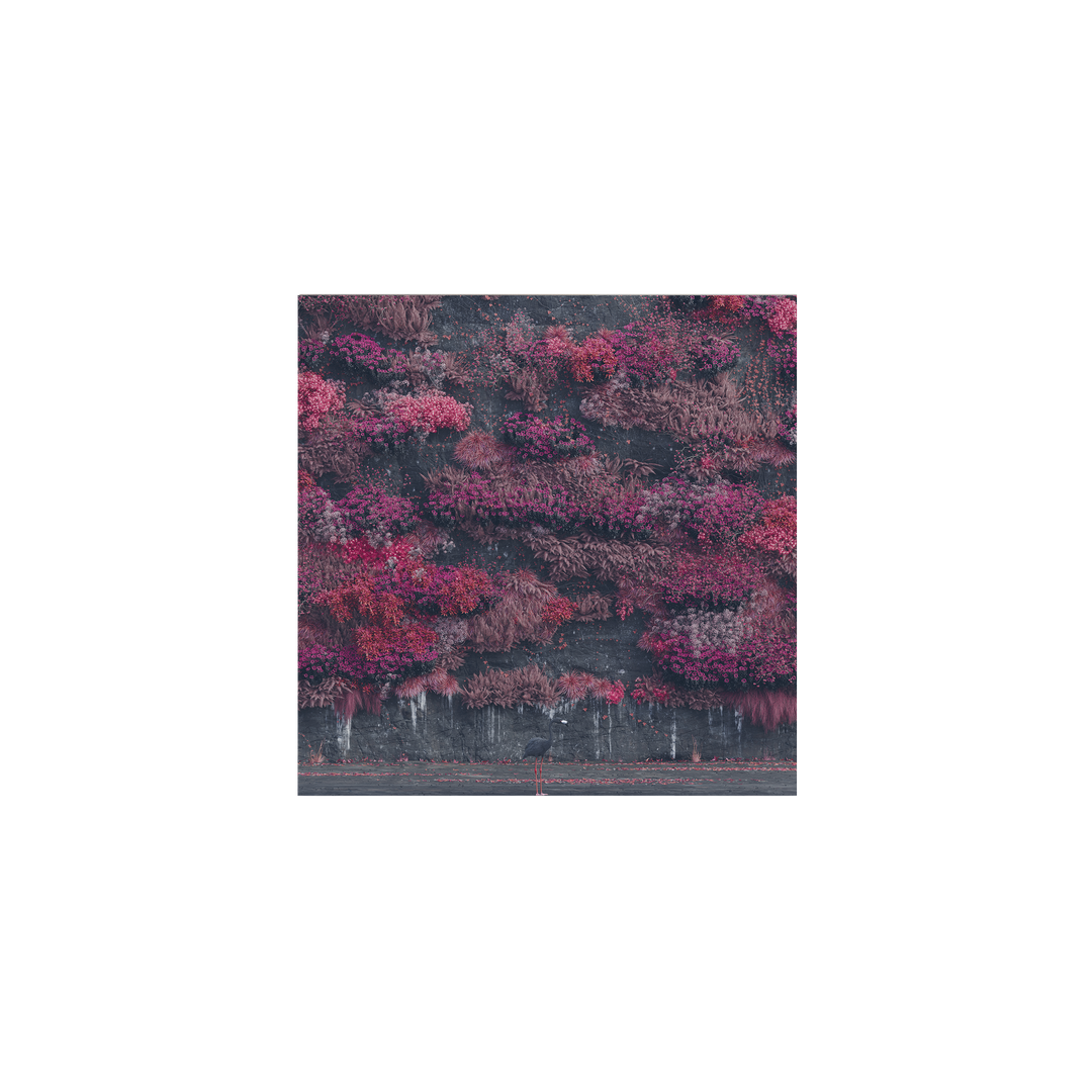 EVEN IN ARCADIA - Digital Download
