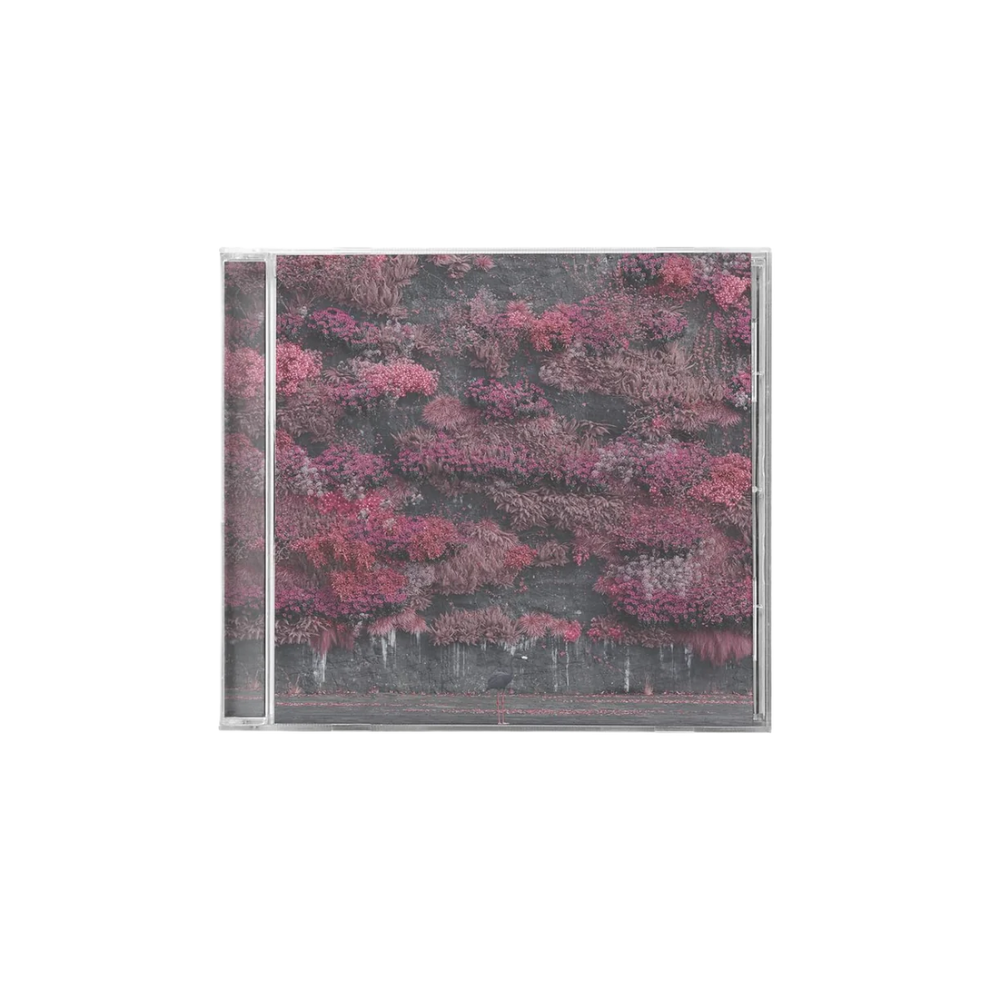 CD with a cover featuring pink floral design on a white background
