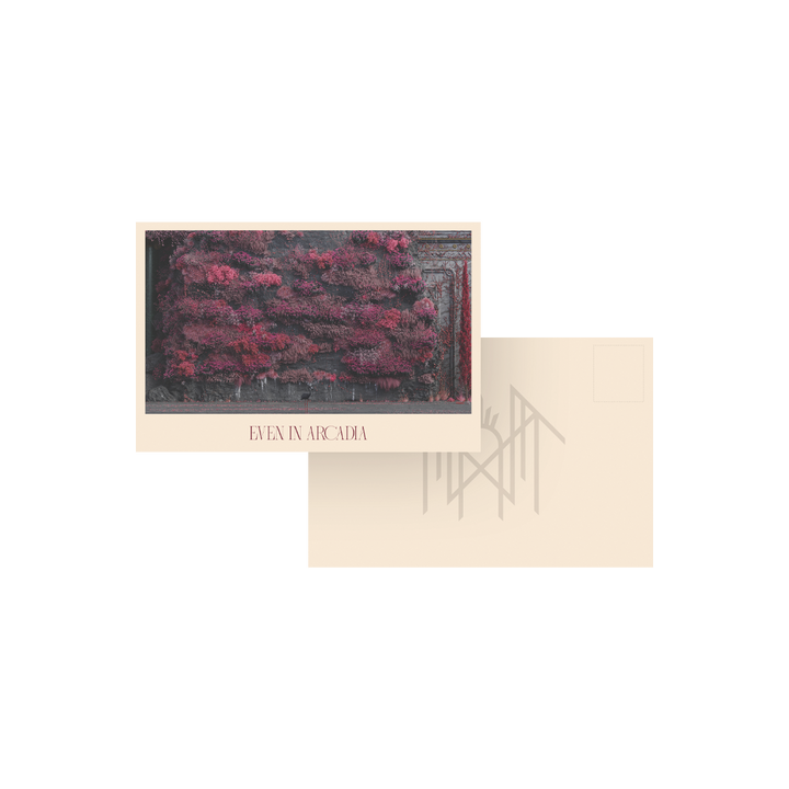 EIA Pop Up Post Card Set