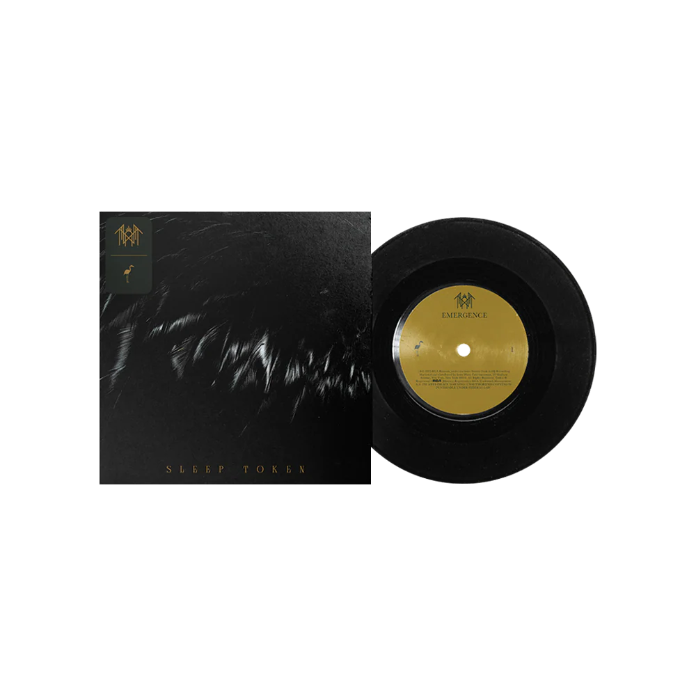 Vinyl record with black cover on a white background